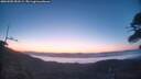 ./images/calvert/fitz-hugh-hecate/20260505/fitz-hugh-hecate20260505_052501M.jpg