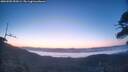 ./images/calvert/fitz-hugh-hecate/20260505/fitz-hugh-hecate20260505_053001M.jpg