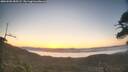 ./images/calvert/fitz-hugh-hecate/20260505/fitz-hugh-hecate20260505_055501M.jpg