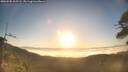 ./images/calvert/fitz-hugh-hecate/20260505/fitz-hugh-hecate20260505_065501M.jpg