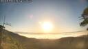 ./images/calvert/fitz-hugh-hecate/20260505/fitz-hugh-hecate20260505_070001M.jpg