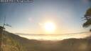 ./images/calvert/fitz-hugh-hecate/20260505/fitz-hugh-hecate20260505_070501M.jpg