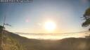 ./images/calvert/fitz-hugh-hecate/20260505/fitz-hugh-hecate20260505_071002M.jpg