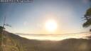 ./images/calvert/fitz-hugh-hecate/20260505/fitz-hugh-hecate20260505_071501M.jpg