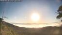 ./images/calvert/fitz-hugh-hecate/20260505/fitz-hugh-hecate20260505_072002M.jpg