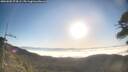 ./images/calvert/fitz-hugh-hecate/20260505/fitz-hugh-hecate20260505_074501M.jpg