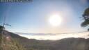 ./images/calvert/fitz-hugh-hecate/20260505/fitz-hugh-hecate20260505_075001M.jpg