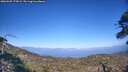 ./images/calvert/fitz-hugh-hecate/20260505/fitz-hugh-hecate20260505_175001M.jpg