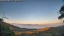./images/calvert/fitz-hugh-hecate/20260505/fitz-hugh-hecate20260505_204002M.jpg