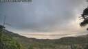 ./images/calvert/fitz-hugh-hecate/20260506/fitz-hugh-hecate20260506_080001M.jpg