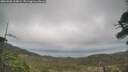 ./images/calvert/fitz-hugh-hecate/20260506/fitz-hugh-hecate20260506_103001M.jpg