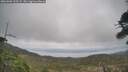 ./images/calvert/fitz-hugh-hecate/20260506/fitz-hugh-hecate20260506_125501M.jpg