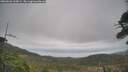 ./images/calvert/fitz-hugh-hecate/20260506/fitz-hugh-hecate20260506_130002M.jpg