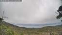 ./images/calvert/fitz-hugh-hecate/20260506/fitz-hugh-hecate20260506_145001M.jpg