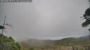 ./images/calvert/fitz-hugh-hecate/20260506/fitz-hugh-hecate20260506_151501M.jpg