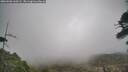 ./images/calvert/fitz-hugh-hecate/20260506/fitz-hugh-hecate20260506_160501M.jpg