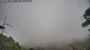 ./images/calvert/fitz-hugh-hecate/20260506/fitz-hugh-hecate20260506_163002M.jpg