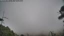 ./images/calvert/fitz-hugh-hecate/20260506/fitz-hugh-hecate20260506_163501M.jpg