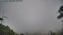 ./images/calvert/fitz-hugh-hecate/20260506/fitz-hugh-hecate20260506_164001M.jpg