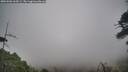 ./images/calvert/fitz-hugh-hecate/20260506/fitz-hugh-hecate20260506_165501M.jpg