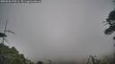 ./images/calvert/fitz-hugh-hecate/20260506/fitz-hugh-hecate20260506_170501M.jpg