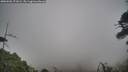 ./images/calvert/fitz-hugh-hecate/20260506/fitz-hugh-hecate20260506_171002M.jpg