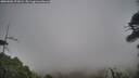 ./images/calvert/fitz-hugh-hecate/20260506/fitz-hugh-hecate20260506_173001M.jpg