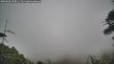./images/calvert/fitz-hugh-hecate/20260506/fitz-hugh-hecate20260506_174001M.jpg
