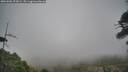 ./images/calvert/fitz-hugh-hecate/20260506/fitz-hugh-hecate20260506_175001M.jpg