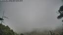./images/calvert/fitz-hugh-hecate/20260506/fitz-hugh-hecate20260506_190001M.jpg