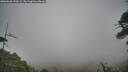 ./images/calvert/fitz-hugh-hecate/20260506/fitz-hugh-hecate20260506_190501M.jpg