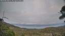 ./images/calvert/fitz-hugh-hecate/20260506/fitz-hugh-hecate20260506_204501M.jpg