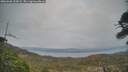 ./images/calvert/fitz-hugh-hecate/20260506/fitz-hugh-hecate20260506_205001M.jpg