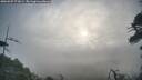 ./images/calvert/fitz-hugh-hecate/20260507/fitz-hugh-hecate20260507_073001M.jpg