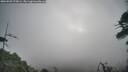 ./images/calvert/fitz-hugh-hecate/20260507/fitz-hugh-hecate20260507_075001M.jpg