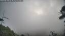 ./images/calvert/fitz-hugh-hecate/20260507/fitz-hugh-hecate20260507_075502M.jpg
