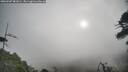 ./images/calvert/fitz-hugh-hecate/20260507/fitz-hugh-hecate20260507_081001M.jpg