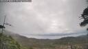./images/calvert/fitz-hugh-hecate/20260507/fitz-hugh-hecate20260507_084501M.jpg