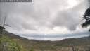 ./images/calvert/fitz-hugh-hecate/20260507/fitz-hugh-hecate20260507_095001M.jpg