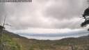 ./images/calvert/fitz-hugh-hecate/20260507/fitz-hugh-hecate20260507_103501M.jpg