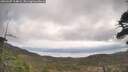 ./images/calvert/fitz-hugh-hecate/20260507/fitz-hugh-hecate20260507_104001M.jpg