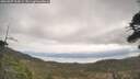 ./images/calvert/fitz-hugh-hecate/20260507/fitz-hugh-hecate20260507_104501M.jpg