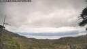 ./images/calvert/fitz-hugh-hecate/20260507/fitz-hugh-hecate20260507_105002M.jpg