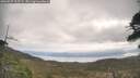 ./images/calvert/fitz-hugh-hecate/20260507/fitz-hugh-hecate20260507_105501M.jpg