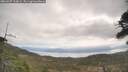 ./images/calvert/fitz-hugh-hecate/20260507/fitz-hugh-hecate20260507_110002M.jpg