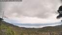 ./images/calvert/fitz-hugh-hecate/20260507/fitz-hugh-hecate20260507_113001M.jpg