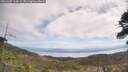 ./images/calvert/fitz-hugh-hecate/20260507/fitz-hugh-hecate20260507_115002M.jpg