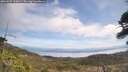 ./images/calvert/fitz-hugh-hecate/20260507/fitz-hugh-hecate20260507_120001M.jpg
