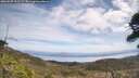 ./images/calvert/fitz-hugh-hecate/20260507/fitz-hugh-hecate20260507_121501M.jpg