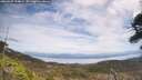 ./images/calvert/fitz-hugh-hecate/20260507/fitz-hugh-hecate20260507_124001M.jpg